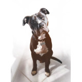 Adresówka identyfikator dla psa kość srebrna z grawerem STAL